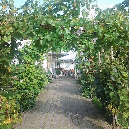 شقة Ferienweingut Arnold Thiesen بروتيج-فانكيل المظهر الخارجي الصورة